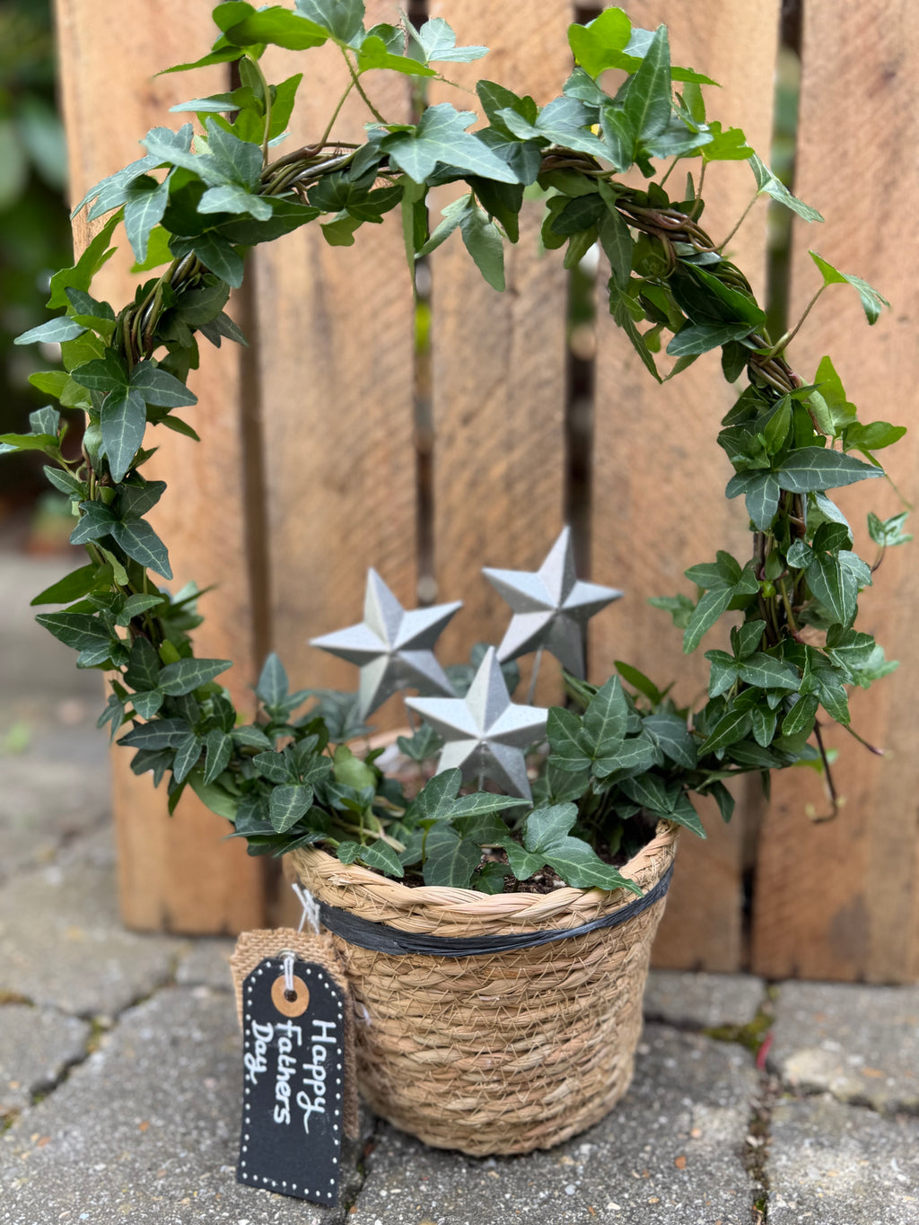 Fathers Day - Ivy Plant